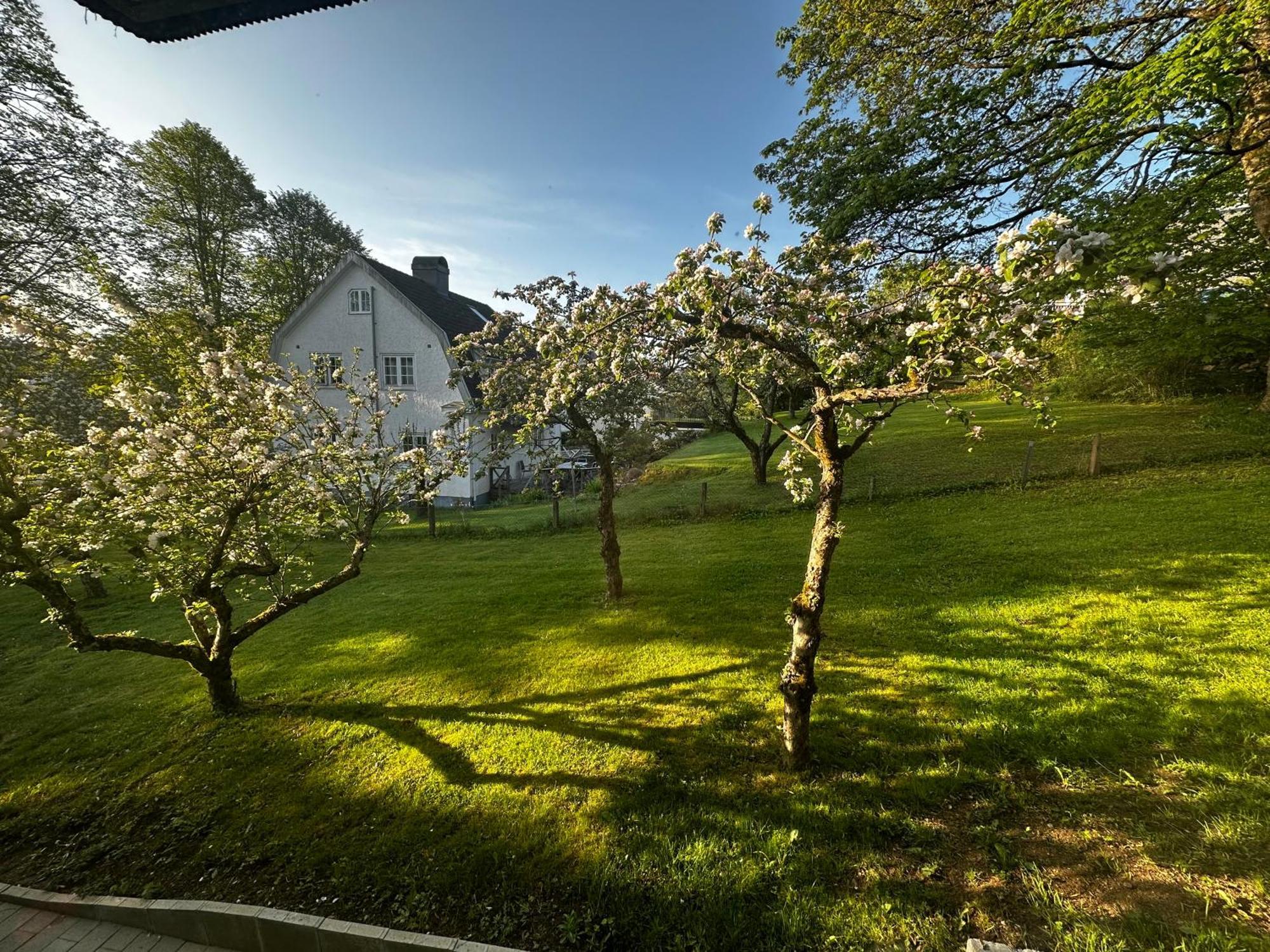 Luxurious 2-Room Apartment In Central Borås Dış mekan fotoğraf